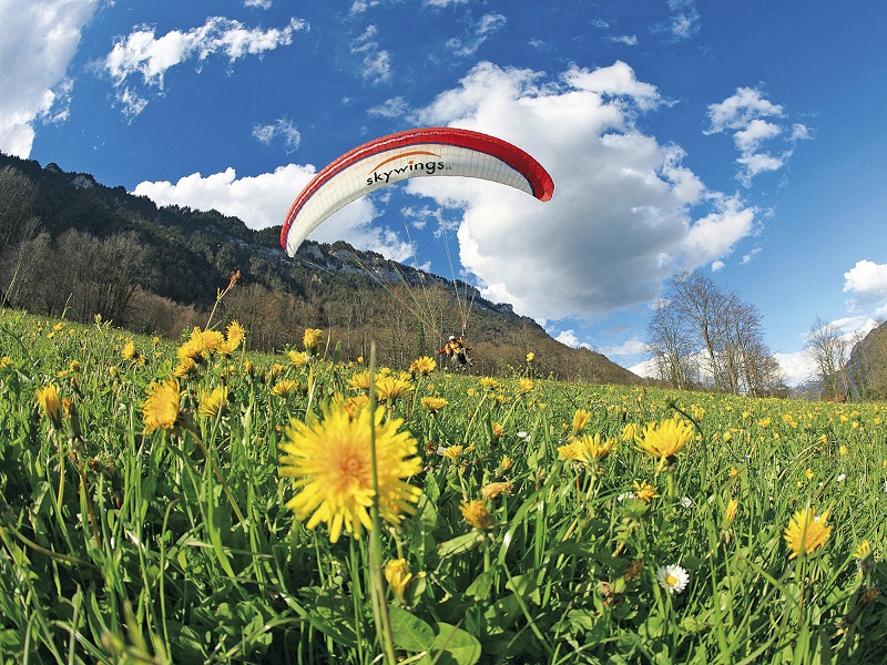 Paragliding Interlaken